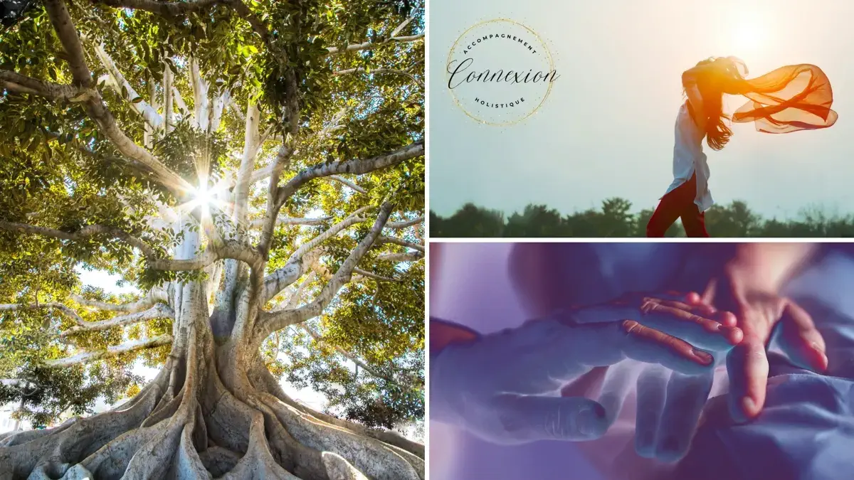 Une mosaïque représentant la kinésiologie holistique avec un arbre majestueux, une femme s'épanouissant en pleine nature, et des mains en position de recevoir de l'énergie.